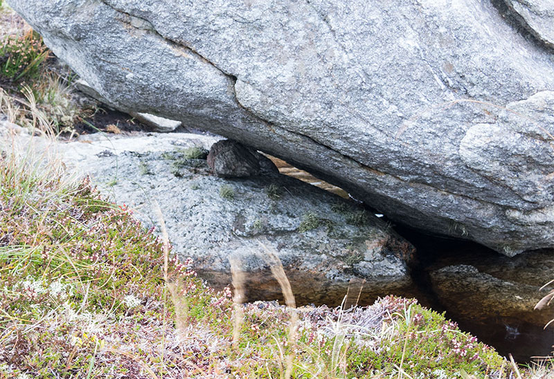 Small stone on which the glacial erratic is balanced