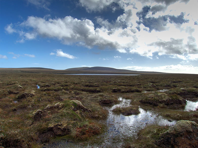 Isle of Lewis salmon and sea trout loch