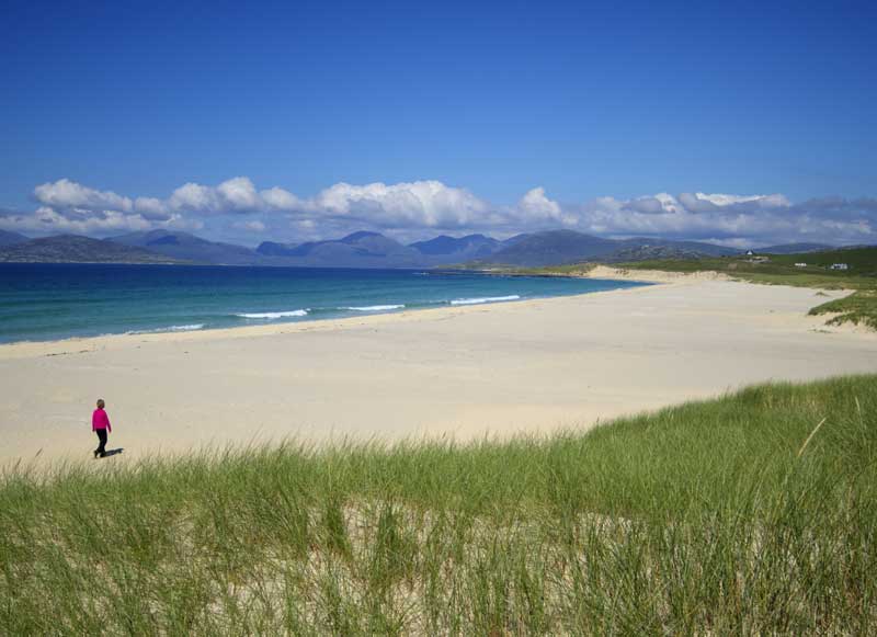 Your host at Dollag's Cottage walking on Scarista beach