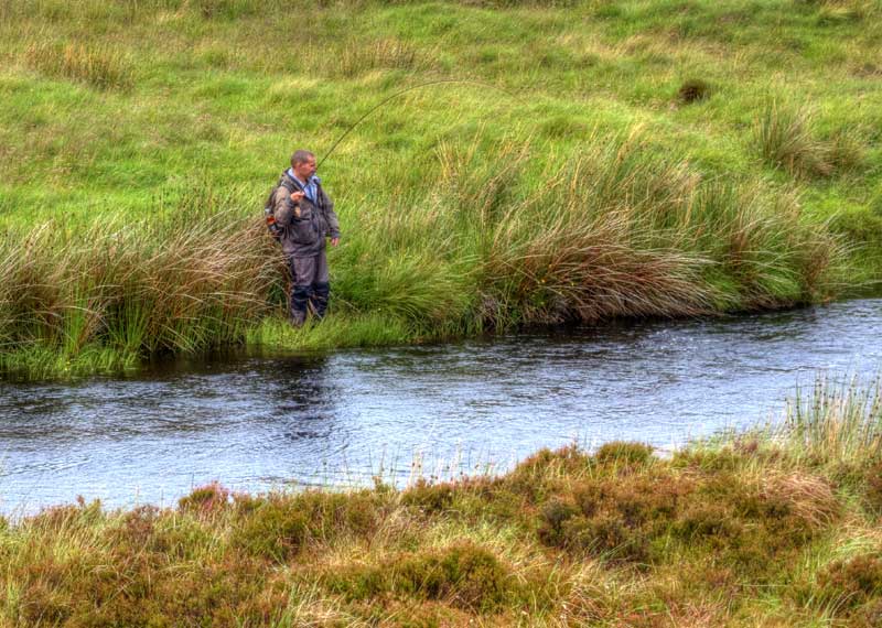 Playing a salmon on the River Creed