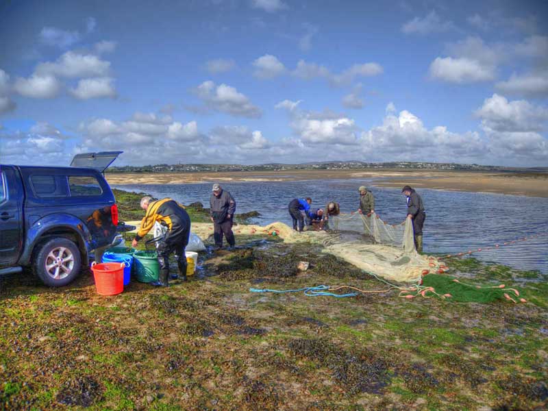 Fisheries biologist carrying out netting in Stornoway