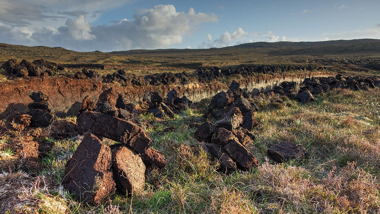 In the peats in Shawbost